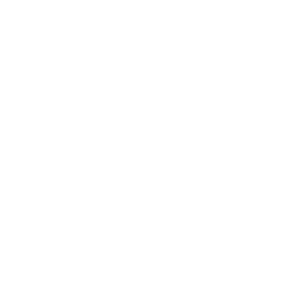 ce logo Cape Coral